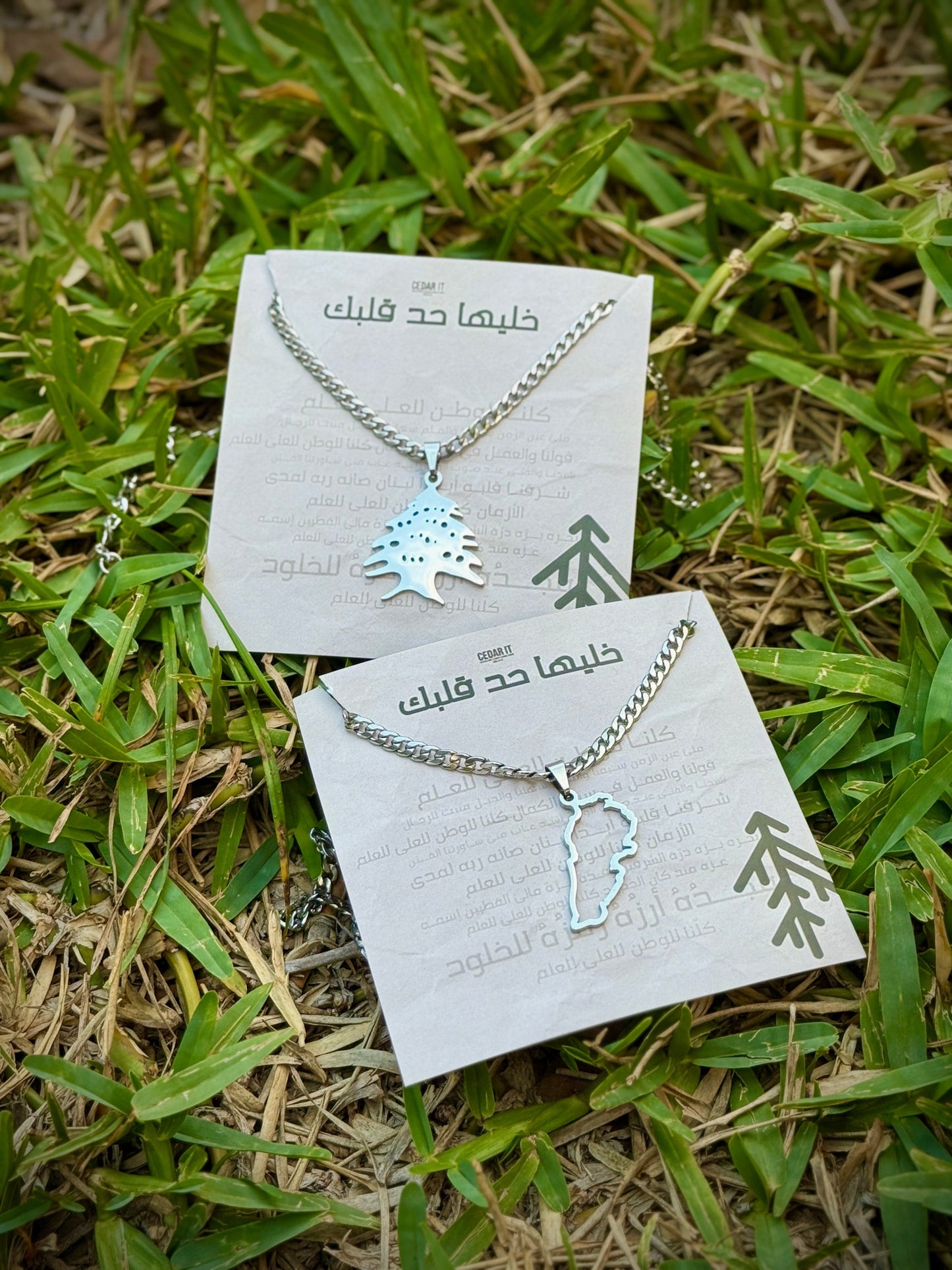 Cedar Necklace + Lebanon Map Necklace— Heritage Duo Set
