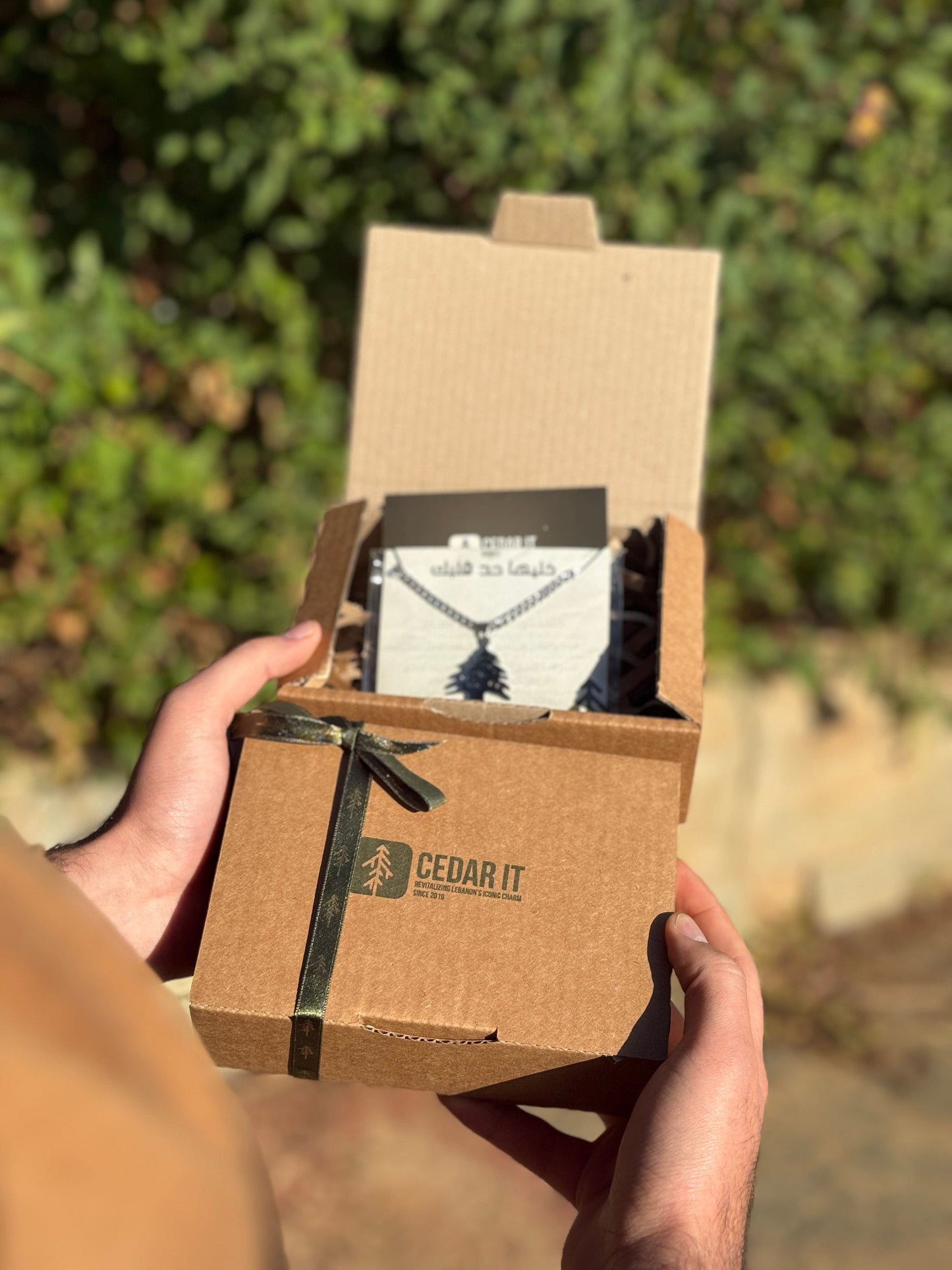 Cedar of Lebanon Necklace — Wear Your Roots