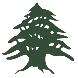 Lebanese Cedar Tree